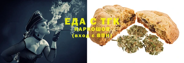 индика Медногорск