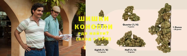 индика Медногорск