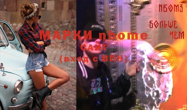 индика Медногорск