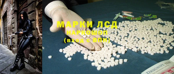 индика Медногорск