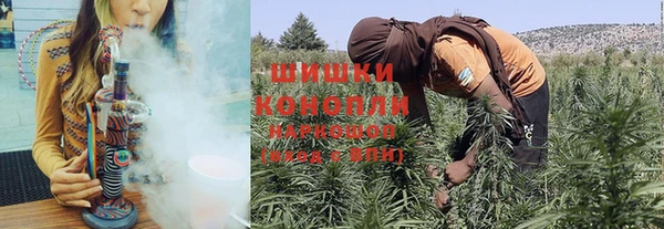 ешки Домодедово
