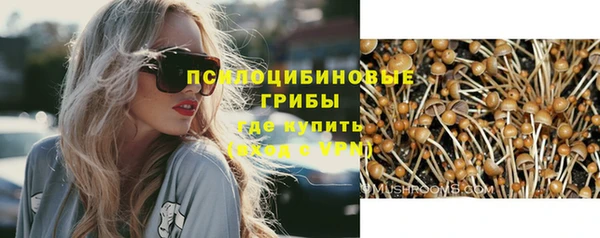 индика Медногорск