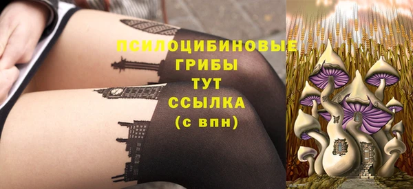 индика Медногорск