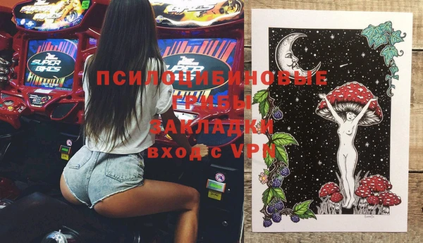 ECSTASY Магас