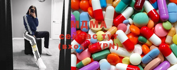 индика Медногорск