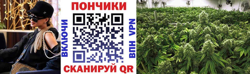 блэк спрут   где купить наркоту  Нижняя Салда  Бошки Шишки планчик 